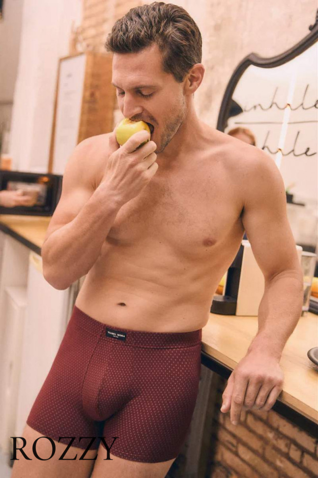 Трусы шорты мужские Ysabel Mora 20425 серый/бордовый (уп.2шт.)