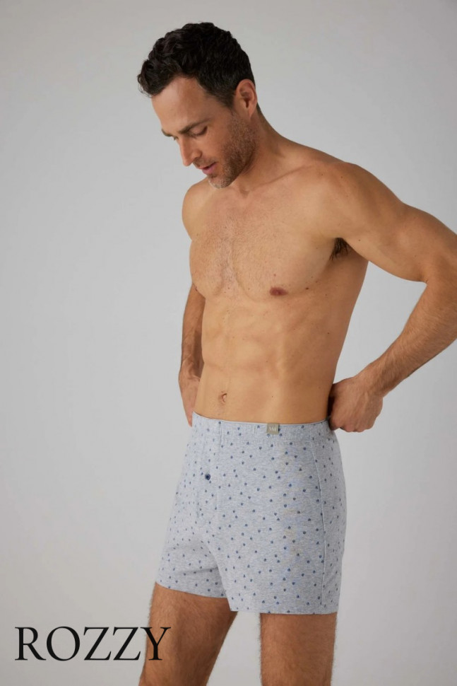 Трусы боксеры мужские Ysabel Mora 20351 серый